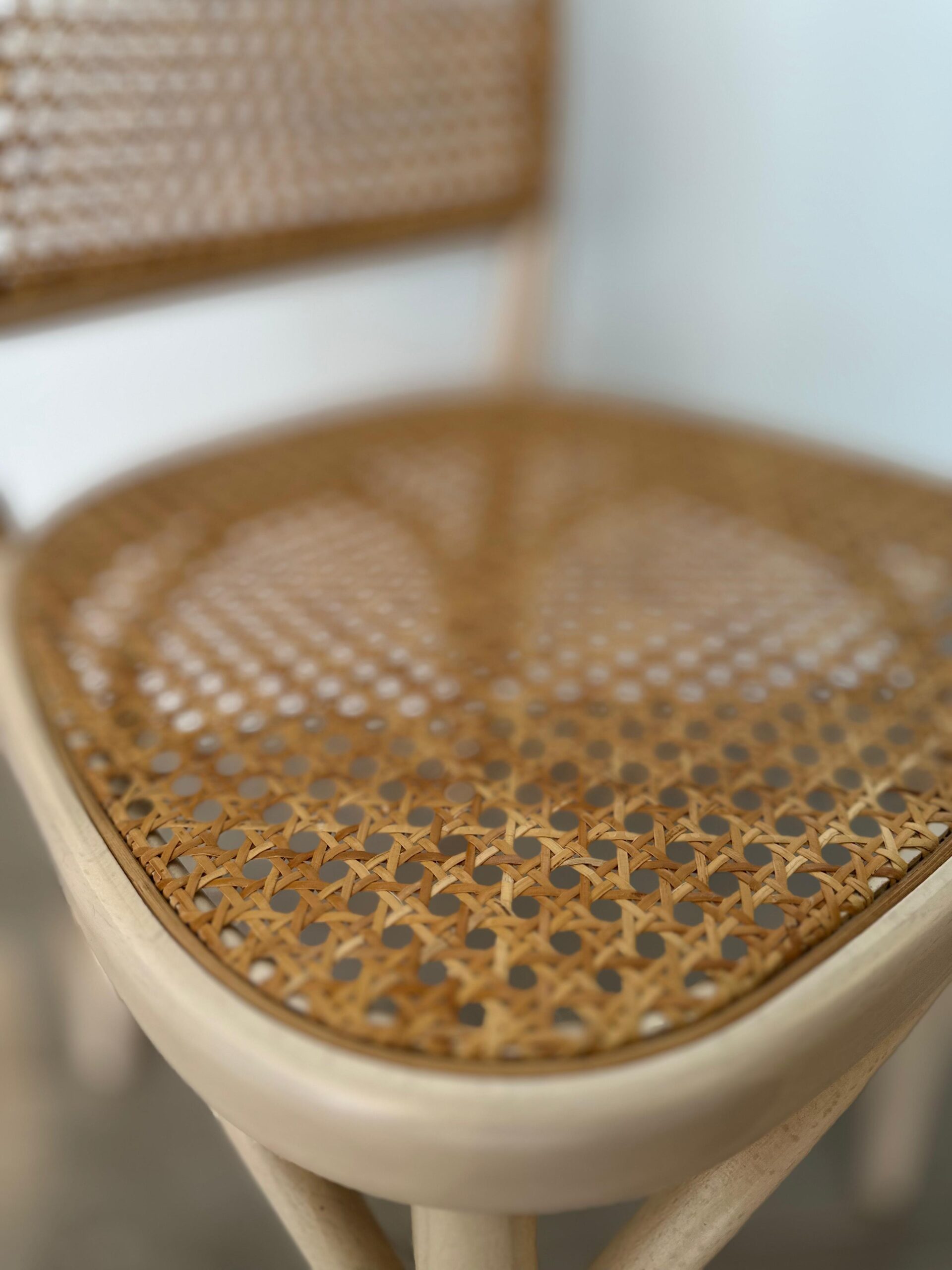 Paglia di Vienna - Lavoro 2